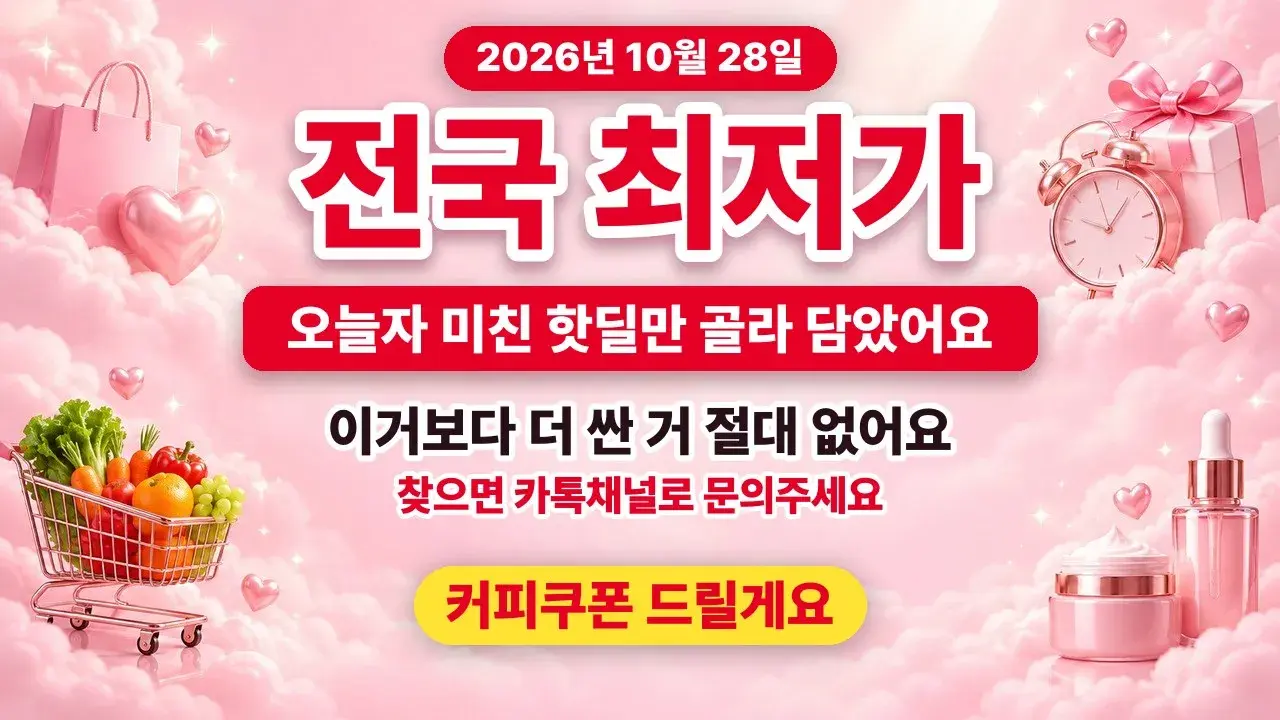 오늘 하루만 이 가격 · 매일 아침 업데이트